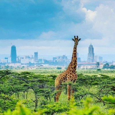 Nairobi National Park